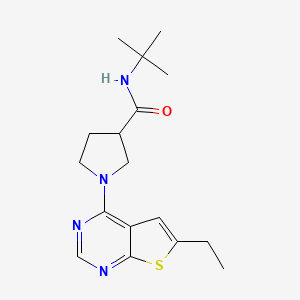 N-tert-butyl-1-{6-ethylthieno[2,3-d]pyrimidin-4-yl}pyrrolidine-3-carboxamide