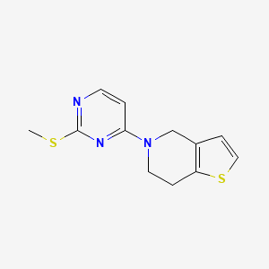 2-(methylsulfanyl)-4-{4H,5H,6H,7H-thieno[3,2-c]pyridin-5-yl}pyrimidine