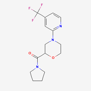 2-(pyrrolidine-1-carbonyl)-4-[4-(trifluoromethyl)pyridin-2-yl]morpholine