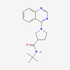 N-tert-butyl-1-(quinazolin-4-yl)pyrrolidine-3-carboxamide