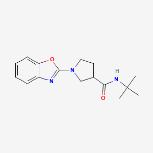 molecular formula C16H21N3O2 B6471669 1-(1,3-benzoxazol-2-yl)-N-tert-butylpyrrolidine-3-carboxamide CAS No. 2640954-44-3