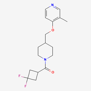 4-{[1-(3,3-difluorocyclobutanecarbonyl)piperidin-4-yl]methoxy}-3-methylpyridine