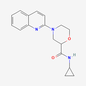 N-cyclopropyl-4-(quinolin-2-yl)morpholine-2-carboxamide