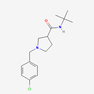 N-tert-butyl-1-[(4-chlorophenyl)methyl]pyrrolidine-3-carboxamide