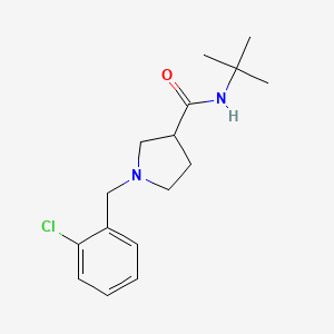 N-tert-butyl-1-[(2-chlorophenyl)methyl]pyrrolidine-3-carboxamide