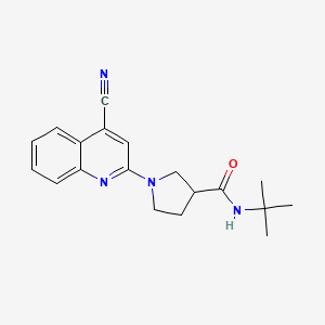 molecular formula C19H22N4O B6472165 N-tert-butyl-1-(4-cyanoquinolin-2-yl)pyrrolidine-3-carboxamide CAS No. 2640959-42-6