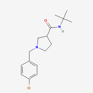 1-[(4-bromophenyl)methyl]-N-tert-butylpyrrolidine-3-carboxamide