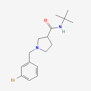 1-[(3-bromophenyl)methyl]-N-tert-butylpyrrolidine-3-carboxamide