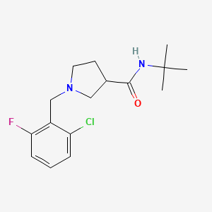 N-tert-butyl-1-[(2-chloro-6-fluorophenyl)methyl]pyrrolidine-3-carboxamide