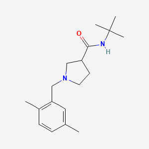 N-tert-butyl-1-[(2,5-dimethylphenyl)methyl]pyrrolidine-3-carboxamide