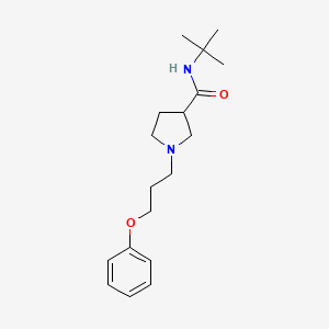 N-tert-butyl-1-(3-phenoxypropyl)pyrrolidine-3-carboxamide