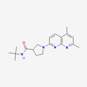 molecular formula C19H26N4O B6472306 N-tert-butyl-1-(5,7-dimethyl-1,8-naphthyridin-2-yl)pyrrolidine-3-carboxamide CAS No. 2640969-14-6