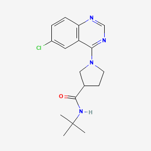 N-tert-butyl-1-(6-chloroquinazolin-4-yl)pyrrolidine-3-carboxamide