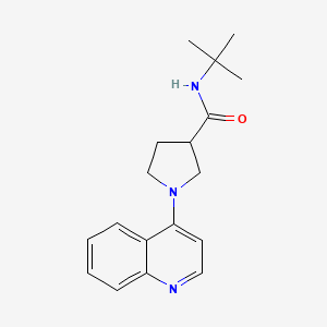 N-tert-butyl-1-(quinolin-4-yl)pyrrolidine-3-carboxamide