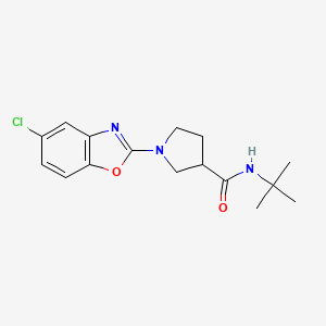 N-tert-butyl-1-(5-chloro-1,3-benzoxazol-2-yl)pyrrolidine-3-carboxamide