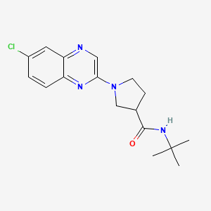 molecular formula C17H21ClN4O B6472640 N-tert-butyl-1-(6-chloroquinoxalin-2-yl)pyrrolidine-3-carboxamide CAS No. 2640819-20-9