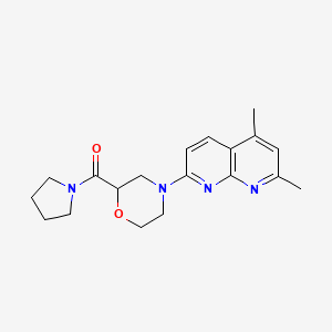 2,4-dimethyl-7-[2-(pyrrolidine-1-carbonyl)morpholin-4-yl]-1,8-naphthyridine