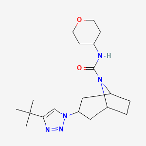 molecular formula C19H31N5O2 B6472992 3-(4-tert-butyl-1H-1,2,3-triazol-1-yl)-N-(oxan-4-yl)-8-azabicyclo[3.2.1]octane-8-carboxamide CAS No. 2640888-27-1