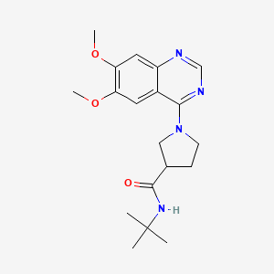 molecular formula C19H26N4O3 B6473137 N-tert-butyl-1-(6,7-dimethoxyquinazolin-4-yl)pyrrolidine-3-carboxamide CAS No. 2640958-81-0