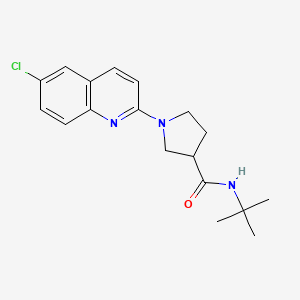 N-tert-butyl-1-(6-chloroquinolin-2-yl)pyrrolidine-3-carboxamide