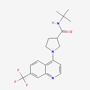 N-tert-butyl-1-[7-(trifluoromethyl)quinolin-4-yl]pyrrolidine-3-carboxamide