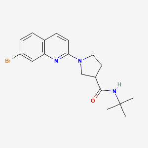 1-(7-bromoquinolin-2-yl)-N-tert-butylpyrrolidine-3-carboxamide