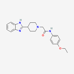 molecular formula C22H26N4O2 B6481411 2-[4-(1H-1,3-benzodiazol-2-yl)piperidin-1-yl]-N-(4-ethoxyphenyl)acetamide CAS No. 887214-67-7