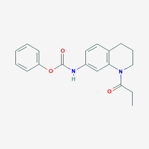 molecular formula C19H20N2O3 B6495825 phenyl N-(1-propanoyl-1,2,3,4-tetrahydroquinolin-7-yl)carbamate CAS No. 955610-87-4