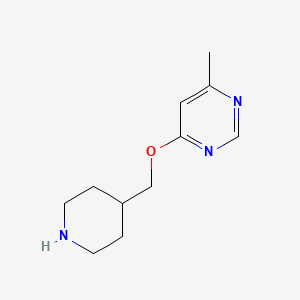 molecular formula C11H17N3O B6497415 4-methyl-6-[(piperidin-4-yl)methoxy]pyrimidine CAS No. 1248145-69-8