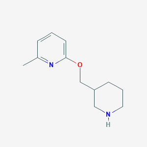 molecular formula C12H18N2O B6497426 2-methyl-6-[(piperidin-3-yl)methoxy]pyridine CAS No. 1249706-88-4