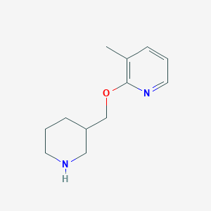molecular formula C12H18N2O B6497437 3-methyl-2-[(piperidin-3-yl)methoxy]pyridine CAS No. 1249023-83-3