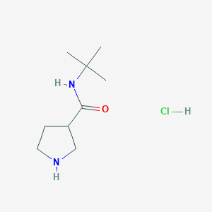 molecular formula C9H19ClN2O B6499964 N-tert-butylpyrrolidine-3-carboxamide hydrochloride CAS No. 2549001-96-7