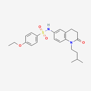 4-ethoxy-N-[1-(3-methylbutyl)-2-oxo-1,2,3,4-tetrahydroquinolin-6-yl]benzene-1-sulfonamide