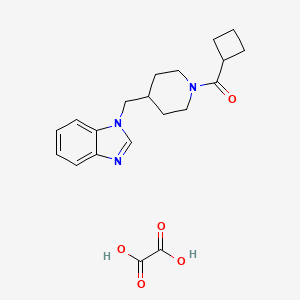 molecular formula C20H25N3O5 B6501561 1-[(1-cyclobutanecarbonylpiperidin-4-yl)methyl]-1H-1,3-benzodiazole; oxalic acid CAS No. 1351630-89-1