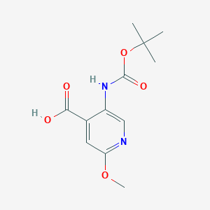molecular formula C12H16N2O5 B065048 5-(Tert-butoxycarbonylamino)-2-methoxypyridine-4-carboxylic acid CAS No. 183741-86-8