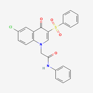 2-[3-(benzenesulfonyl)-6-chloro-4-oxo-1,4-dihydroquinolin-1-yl]-N-phenylacetamide