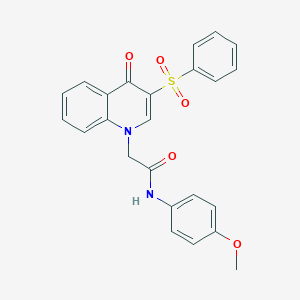 molecular formula C24H20N2O5S B6509850 2-[3-(benzenesulfonyl)-4-oxo-1,4-dihydroquinolin-1-yl]-N-(4-methoxyphenyl)acetamide CAS No. 902278-52-8