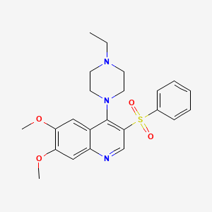 molecular formula C23H27N3O4S B6510480 3-(benzenesulfonyl)-4-(4-ethylpiperazin-1-yl)-6,7-dimethoxyquinoline CAS No. 872200-27-6