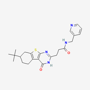 molecular formula C23H28N4O2S B6511189 3-{11-tert-butyl-3-oxo-8-thia-4,6-diazatricyclo[7.4.0.0^{2,7}]trideca-1(9),2(7),5-trien-5-yl}-N-[(pyridin-3-yl)methyl]propanamide CAS No. 950414-89-8