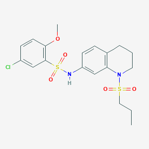 molecular formula C19H23ClN2O5S2 B6512356 5-chloro-2-methoxy-N-[1-(propane-1-sulfonyl)-1,2,3,4-tetrahydroquinolin-7-yl]benzene-1-sulfonamide CAS No. 946301-25-3