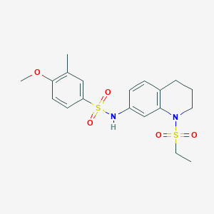 molecular formula C19H24N2O5S2 B6512366 N-[1-(ethanesulfonyl)-1,2,3,4-tetrahydroquinolin-7-yl]-4-methoxy-3-methylbenzene-1-sulfonamide CAS No. 946227-42-5