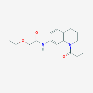 molecular formula C17H24N2O3 B6513117 2-ethoxy-N-[1-(2-methylpropanoyl)-1,2,3,4-tetrahydroquinolin-7-yl]acetamide CAS No. 955607-93-9
