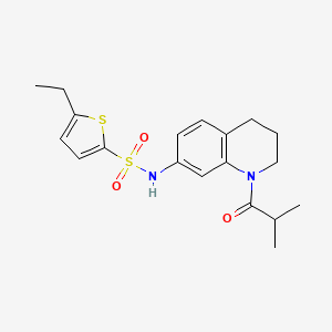 molecular formula C19H24N2O3S2 B6513142 5-ethyl-N-[1-(2-methylpropanoyl)-1,2,3,4-tetrahydroquinolin-7-yl]thiophene-2-sulfonamide CAS No. 1005301-08-5