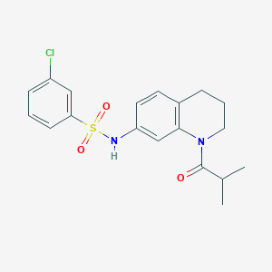 molecular formula C19H21ClN2O3S B6513147 3-chloro-N-[1-(2-methylpropanoyl)-1,2,3,4-tetrahydroquinolin-7-yl]benzene-1-sulfonamide CAS No. 1005301-11-0