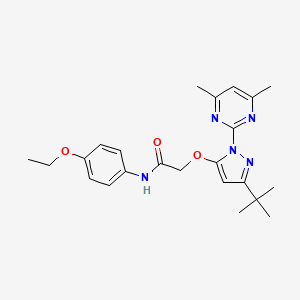 molecular formula C23H29N5O3 B6529239 2-{[3-tert-butyl-1-(4,6-dimethylpyrimidin-2-yl)-1H-pyrazol-5-yl]oxy}-N-(4-ethoxyphenyl)acetamide CAS No. 1020453-66-0