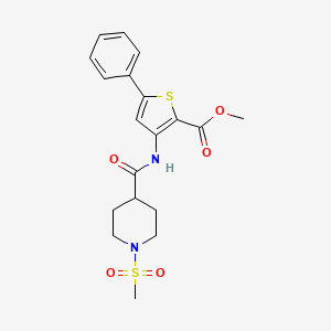 molecular formula C19H22N2O5S2 B6538316 methyl 3-(1-methanesulfonylpiperidine-4-amido)-5-phenylthiophene-2-carboxylate CAS No. 1021215-01-9