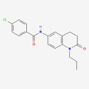 molecular formula C19H19ClN2O2 B6544532 4-chloro-N-(2-oxo-1-propyl-1,2,3,4-tetrahydroquinolin-6-yl)benzamide CAS No. 1021280-61-4