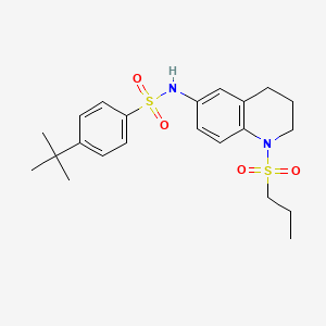 molecular formula C22H30N2O4S2 B6549064 4-tert-butyl-N-[1-(propane-1-sulfonyl)-1,2,3,4-tetrahydroquinolin-6-yl]benzene-1-sulfonamide CAS No. 1040660-39-6