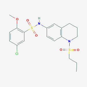 molecular formula C19H23ClN2O5S2 B6549109 5-chloro-2-methoxy-N-[1-(propane-1-sulfonyl)-1,2,3,4-tetrahydroquinolin-6-yl]benzene-1-sulfonamide CAS No. 1040660-81-8