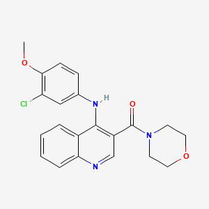 N-(3-chloro-4-methoxyphenyl)-3-(morpholine-4-carbonyl)quinolin-4-amine